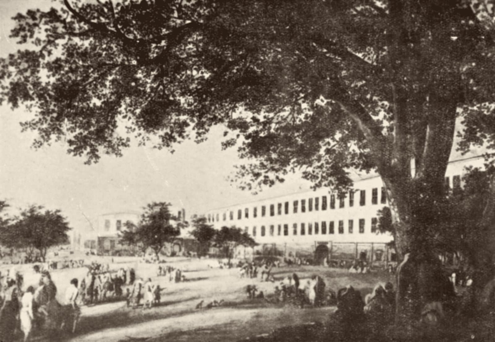 Nineteenth-century view of the hospital of Kasr Al-Ainy with people gathered under a large tree