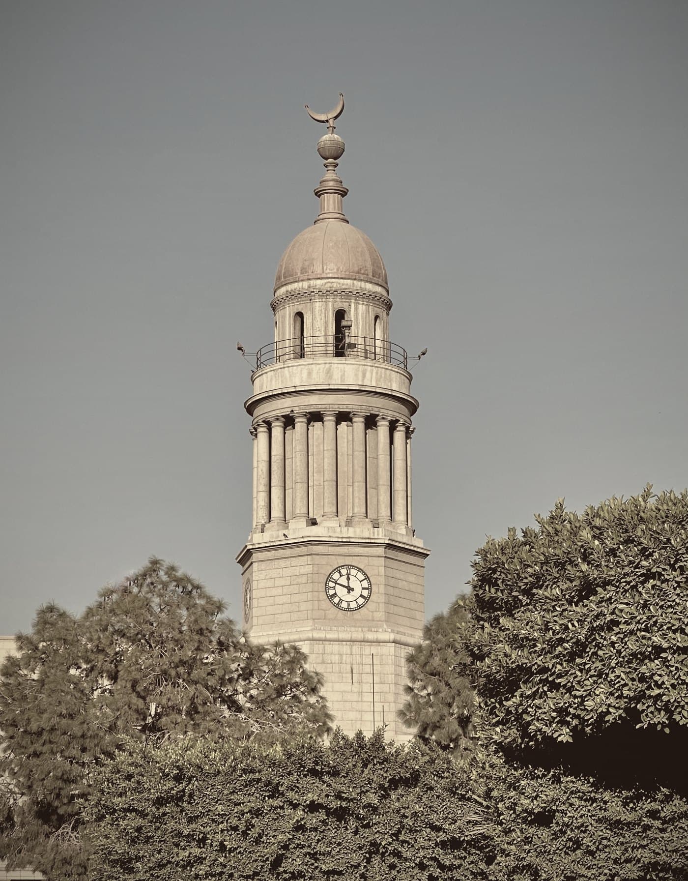 The clock tower of Kasr Al-Ainy above the trees